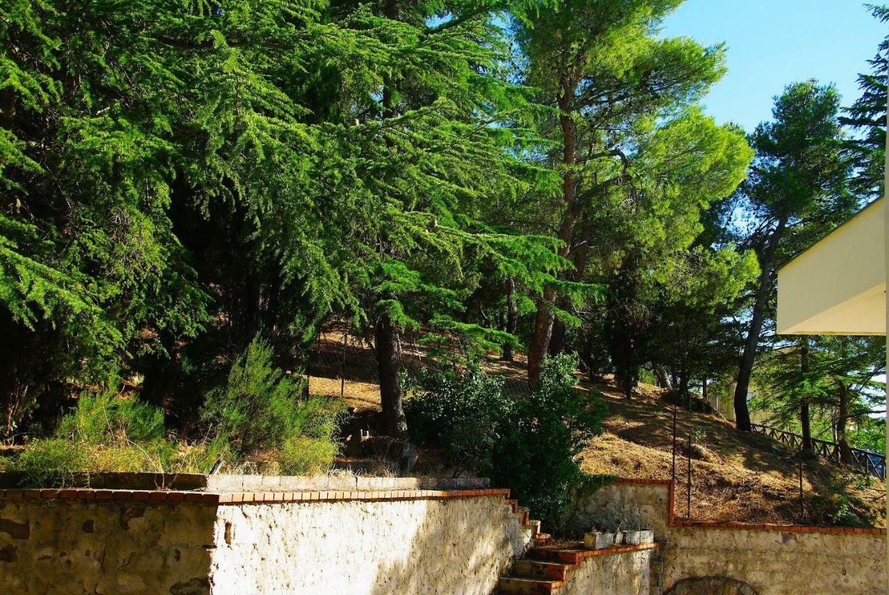 La Casa Di Boz B&B Nuoro  Exterior foto